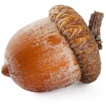 Play Nutsimulator free online